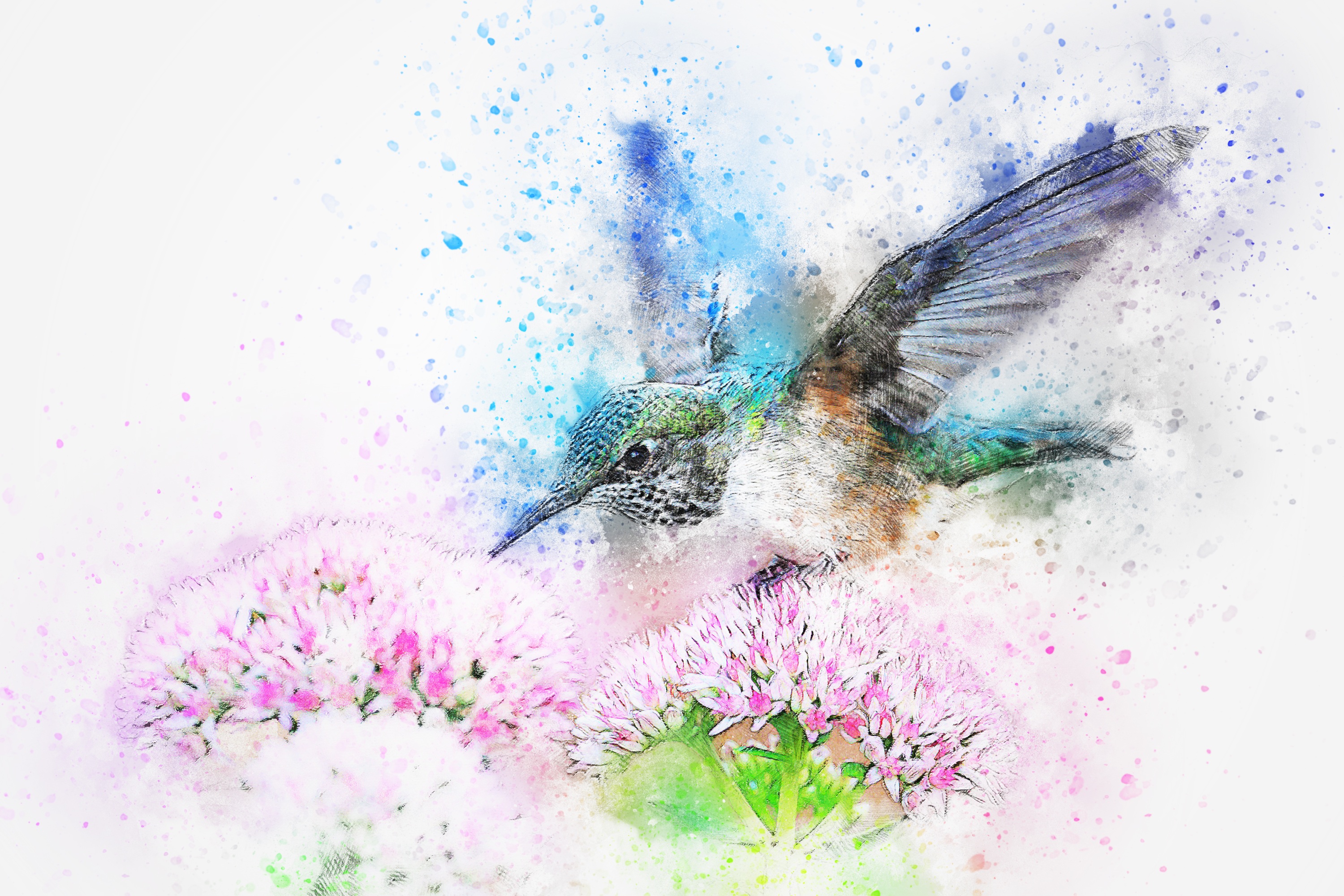 Art of humming bird printed on Giclee Prints