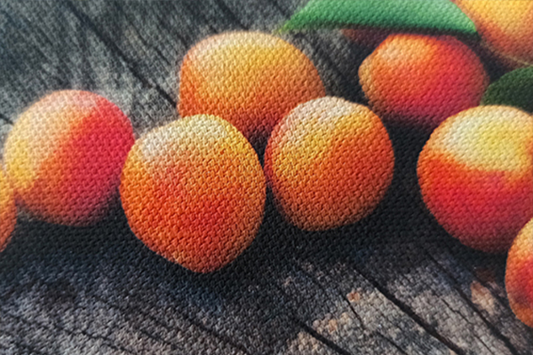 Showcase Image